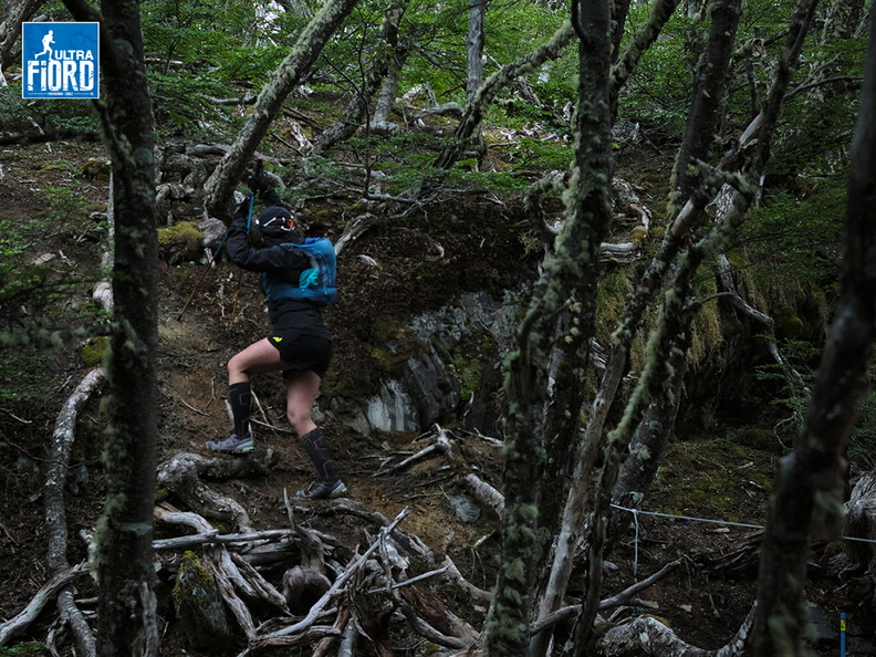 Foto: Andrés Fuentes