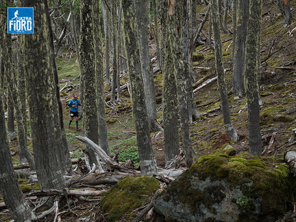 Foto: Andrés Fuentes