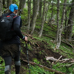 Foto: Andrés Fuentes