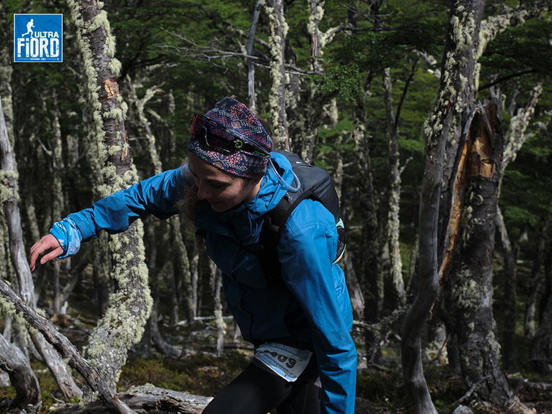 Foto: Andrés Fuentes