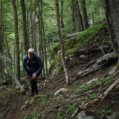 Foto: Andrés Fuentes