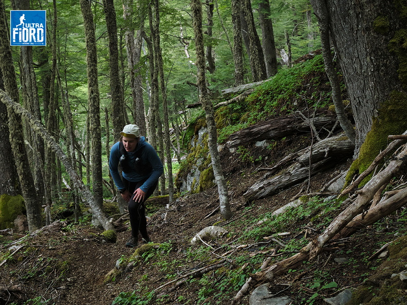Foto: Andrés Fuentes