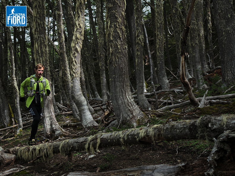 Foto: Andrés Fuentes