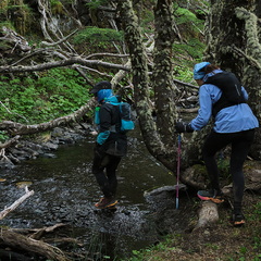 Foto: Andrés Fuentes