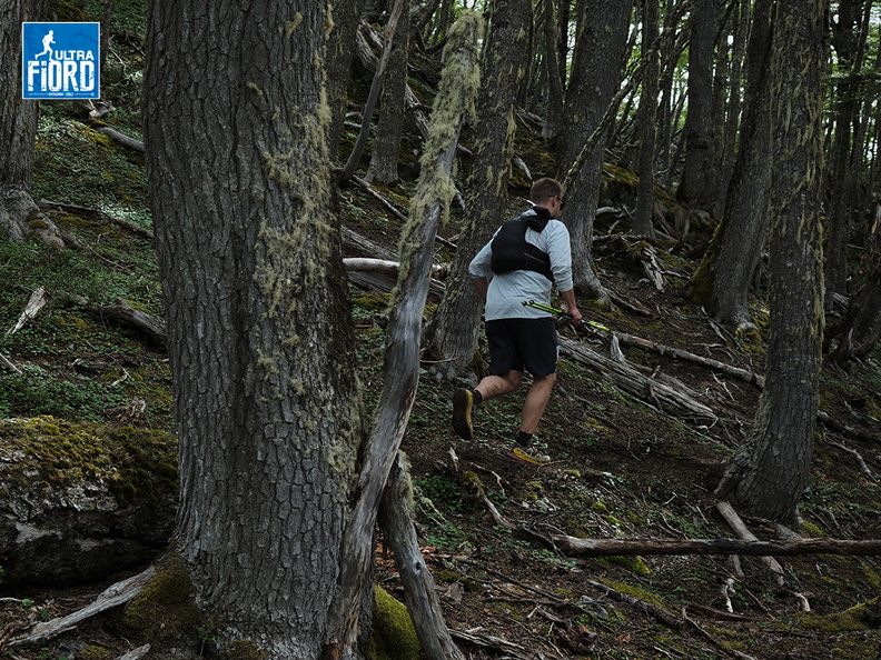 Foto: Andrés Fuentes