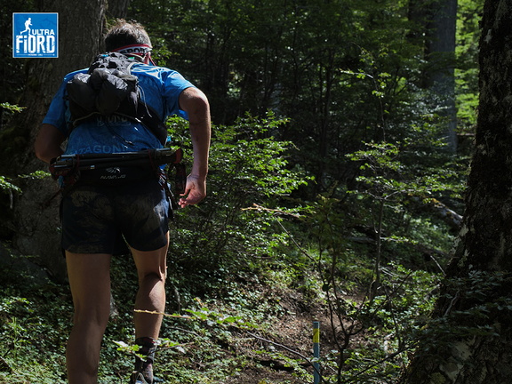 Foto: Andrés Fuentes