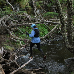 Foto: Andrés Fuentes