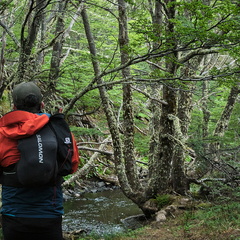 Foto: Andrés Fuentes