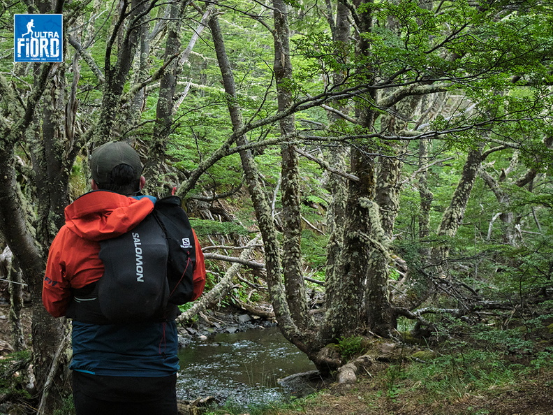 Foto: Andrés Fuentes