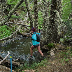 Foto: Andrés Fuentes