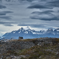 Foto: Andrés Fuentes