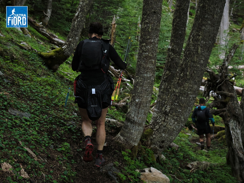 Foto: Andrés Fuentes