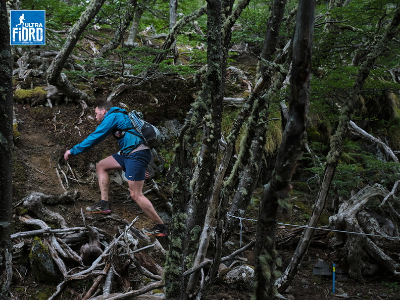 Foto: Andrés Fuentes