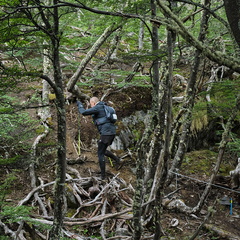 Foto: Andrés Fuentes