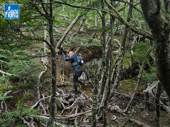 Foto: Andrés Fuentes