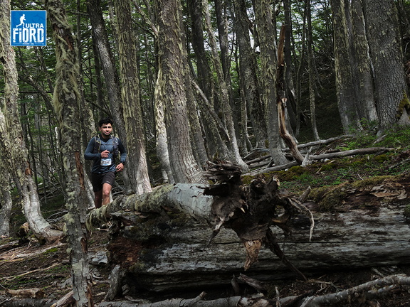 Foto: Andrés Fuentes