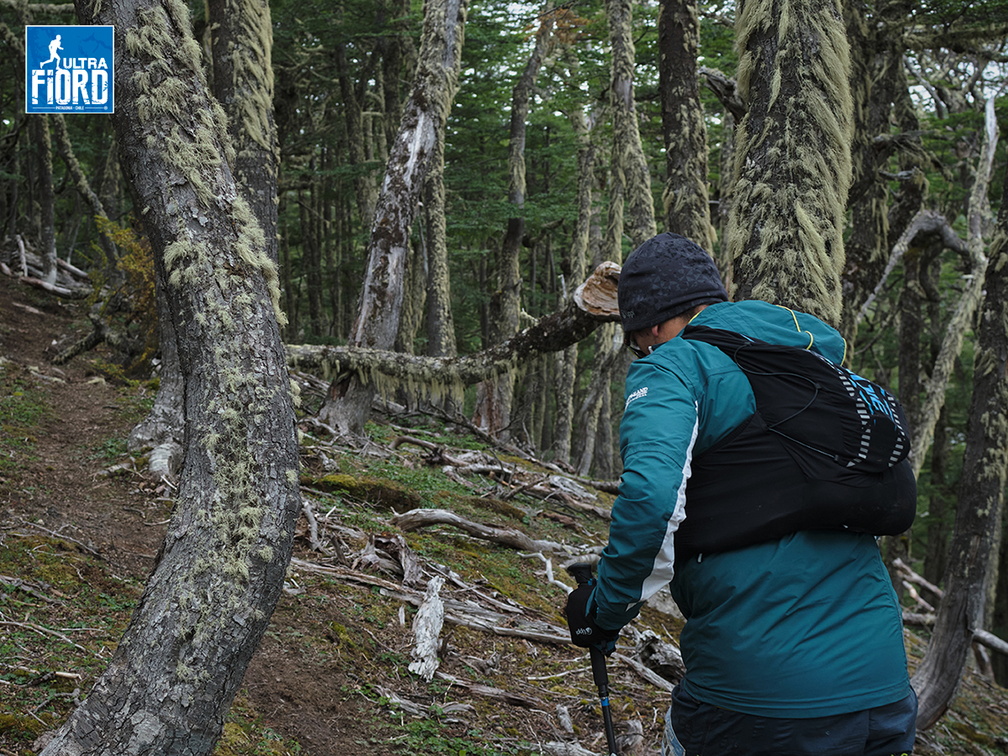 Foto: Andrés Fuentes