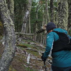 Foto: Andrés Fuentes