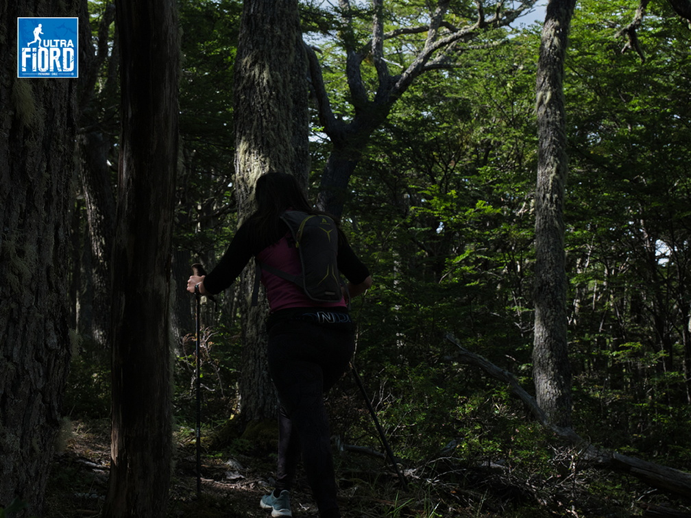 Foto: Andrés Fuentes