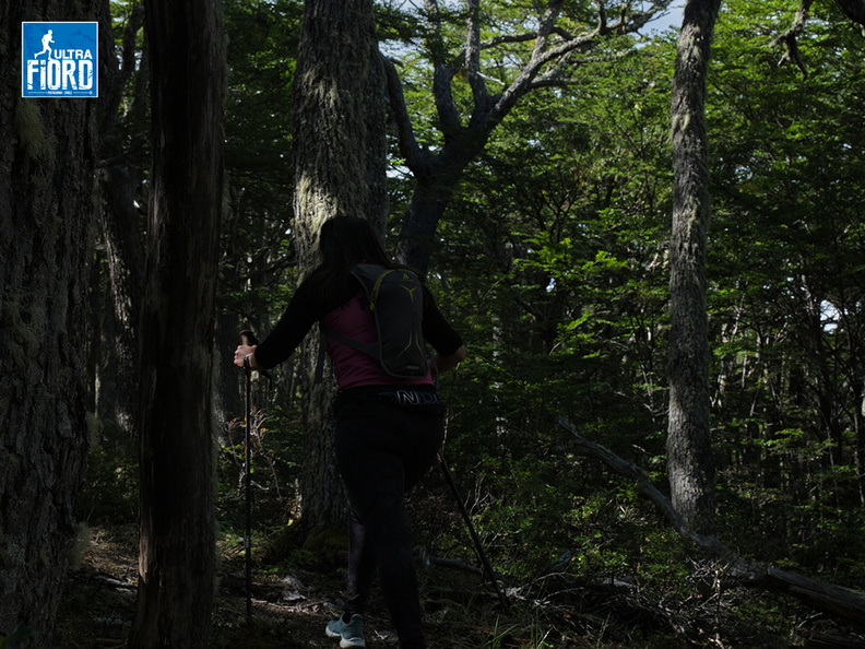 Foto: Andrés Fuentes