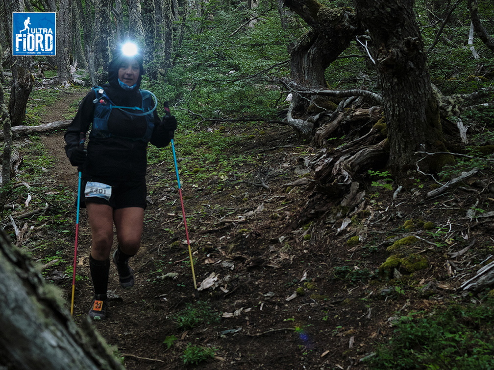 Foto: Andrés Fuentes