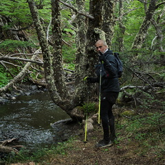 Foto: Andrés Fuentes