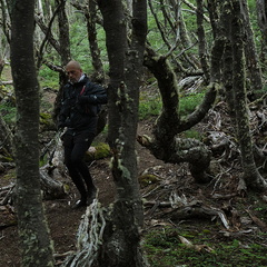 Foto: Andrés Fuentes