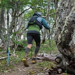 Foto: Andrés Fuentes