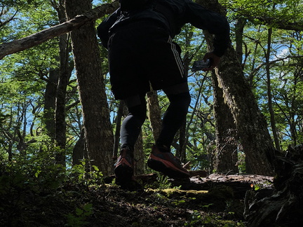 Foto: Andrés Fuentes