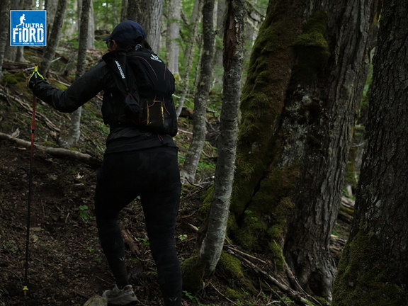 Foto: Andrés Fuentes