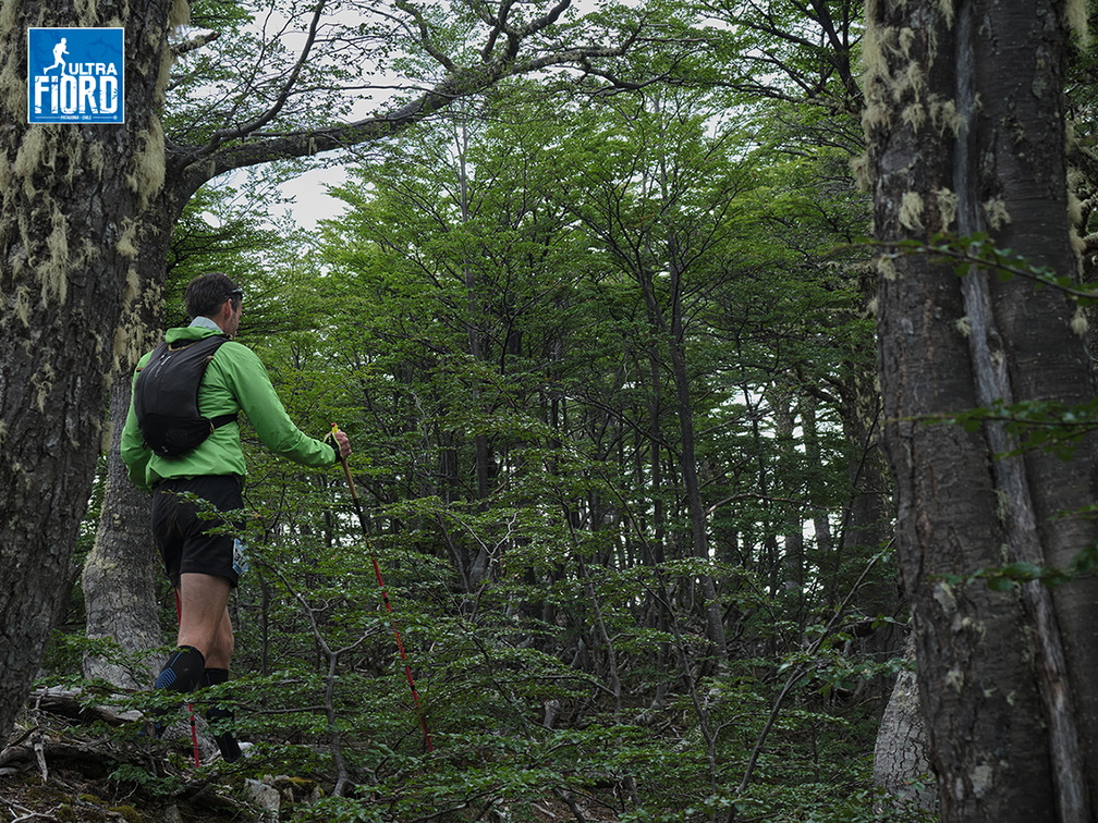 Foto: Andrés Fuentes