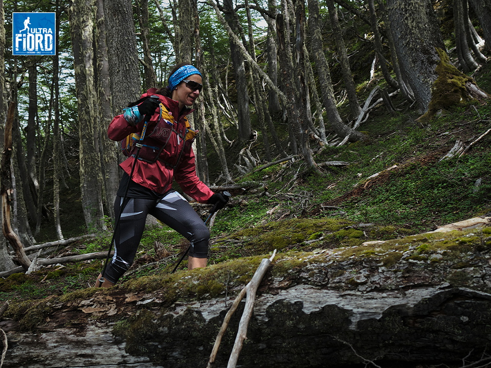 Foto: Andrés Fuentes