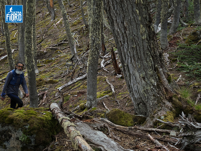 Foto: Andrés Fuentes