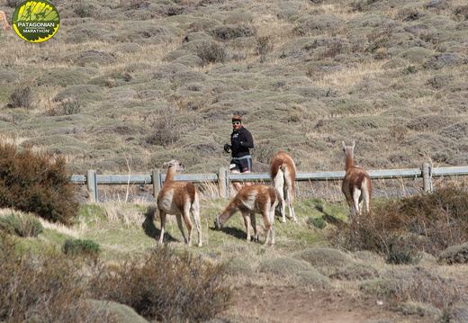 Foto: Alejandro Zoñez