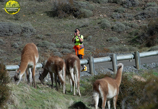 Foto: Guillermo Salgado