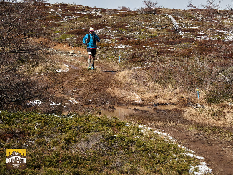 Foto: Andrés Fuentes