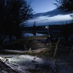 Foto: Alejandro Zoñez