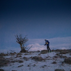 Foto: Alejandro Zoñez