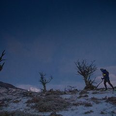 Foto: Alejandro Zoñez