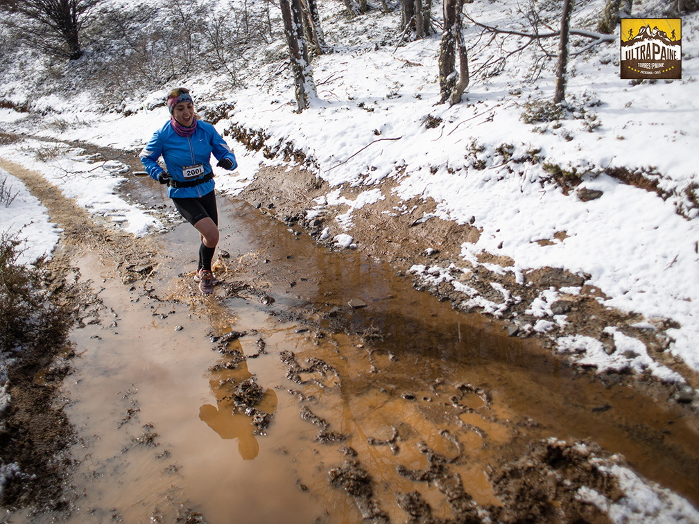 Foto: Alejandro Zoñez