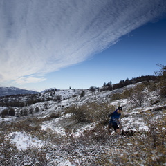 Foto: Alejandro Zoñez