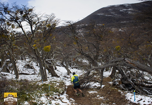 Foto: Alejandro Zoñez