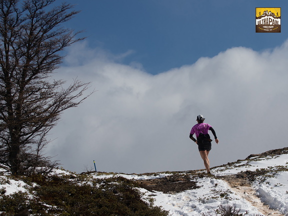 Foto: Alejandro Zoñez