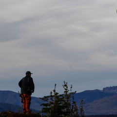 Foto: Alejandro Zoñez