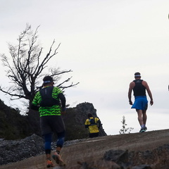 Foto: Alejandro Zoñez