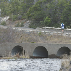 Foto: Guillermo Salgado