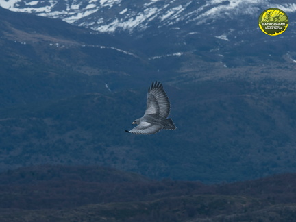 Foto: Patricia Ainol