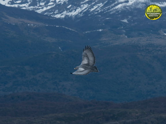 Foto: Patricia Ainol