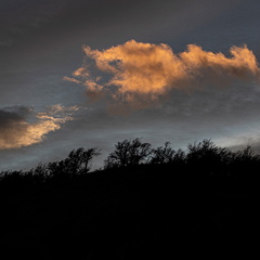 Foto: Christian Miranda