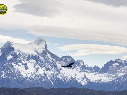 Foto: Patricia Ainol